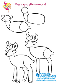 Как нарисовать оленя