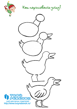 Как нарисовать утку