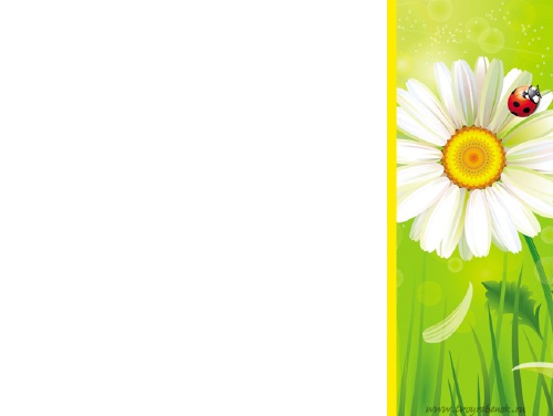 Растение фон для презентации