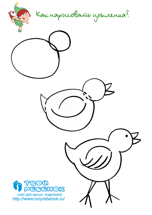 Как нарисовать цыпленка