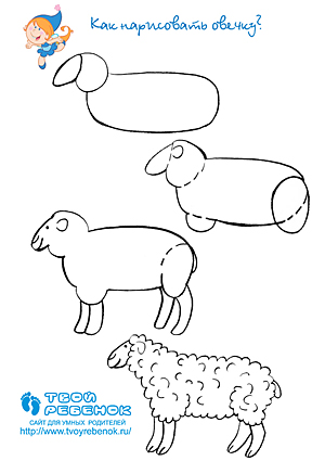 Рисуем овечку