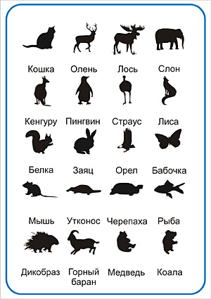 Угадай животное - ответы