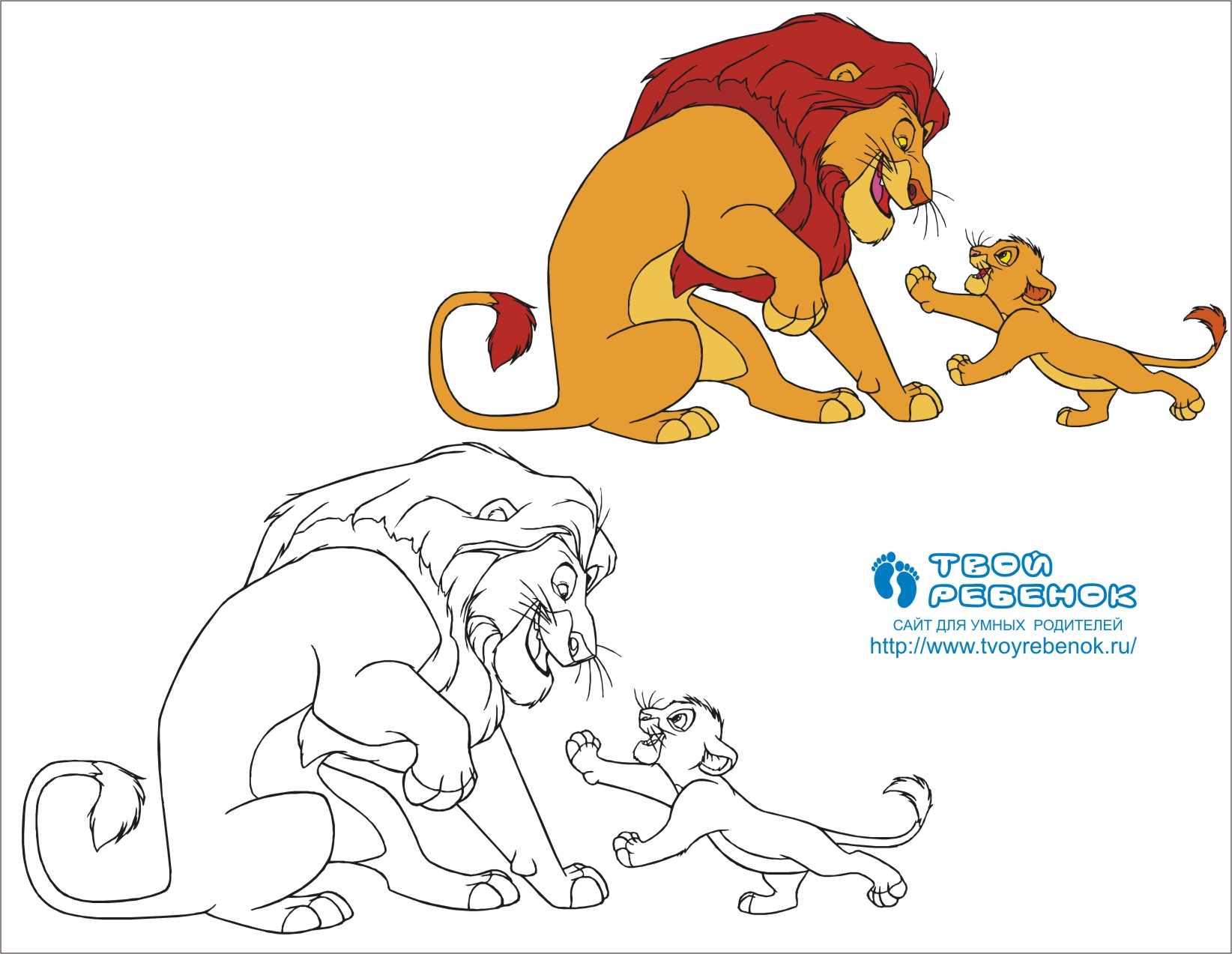 Раскраска Король лев Раскраска Король лев