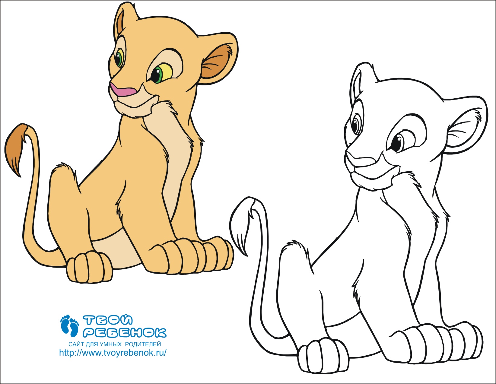 Раскраска Король лев Раскраска Король лев