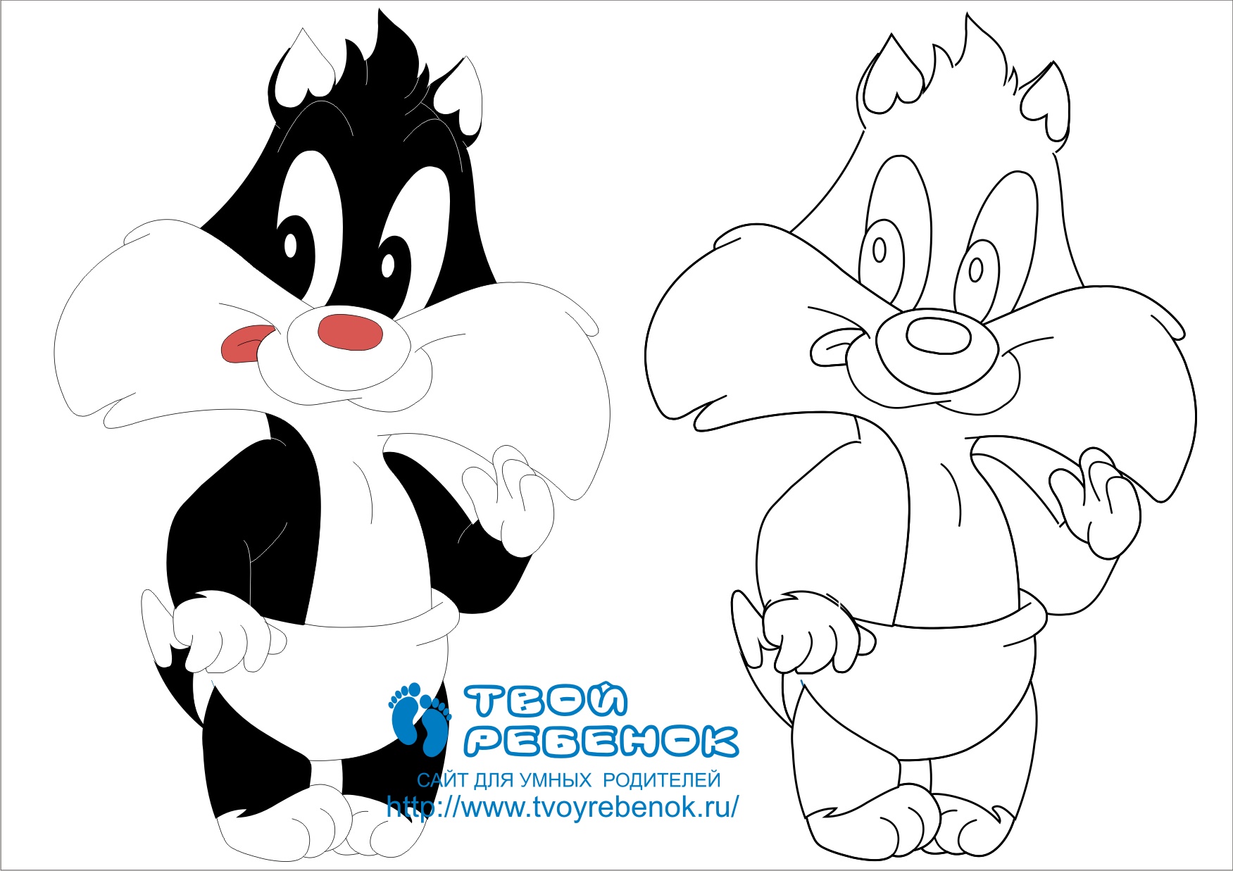 Раскраска енот Раскраска енот