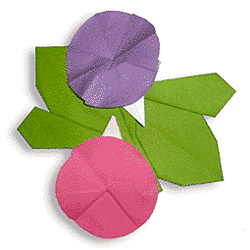 Модульное оригами кувшинка
